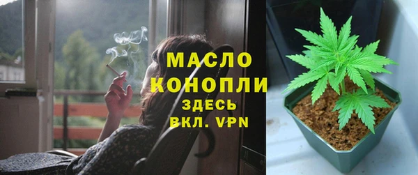 ГАЛЛЮЦИНОГЕННЫЕ ГРИБЫ Верея