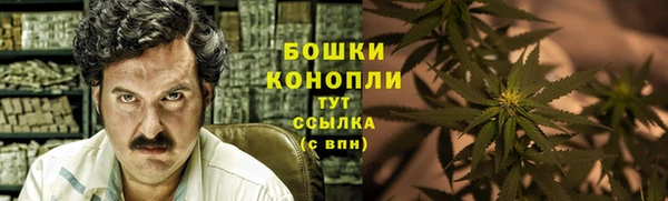 ГАЛЛЮЦИНОГЕННЫЕ ГРИБЫ Верея