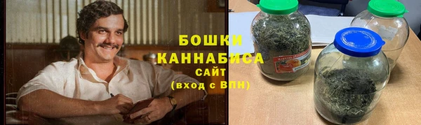 ГАЛЛЮЦИНОГЕННЫЕ ГРИБЫ Верея