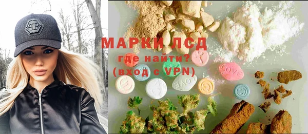ПСИЛОЦИБИНОВЫЕ ГРИБЫ Верхнеуральск