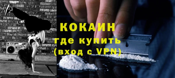 ГАЛЛЮЦИНОГЕННЫЕ ГРИБЫ Верея