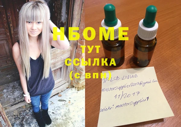 ГАЛЛЮЦИНОГЕННЫЕ ГРИБЫ Верея